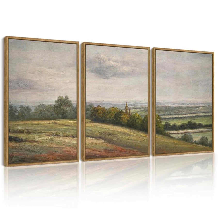 Drsoum Vintage Wall Art 16x24in3pcs Brown Framed White Clouds Over Vast Grassland Landscape Painting Retro Meadow Scenery Farmhouse Living Room Decor